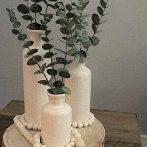 Vases and plants