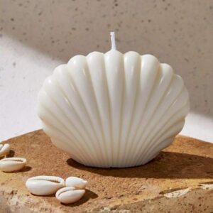 Seashells candle