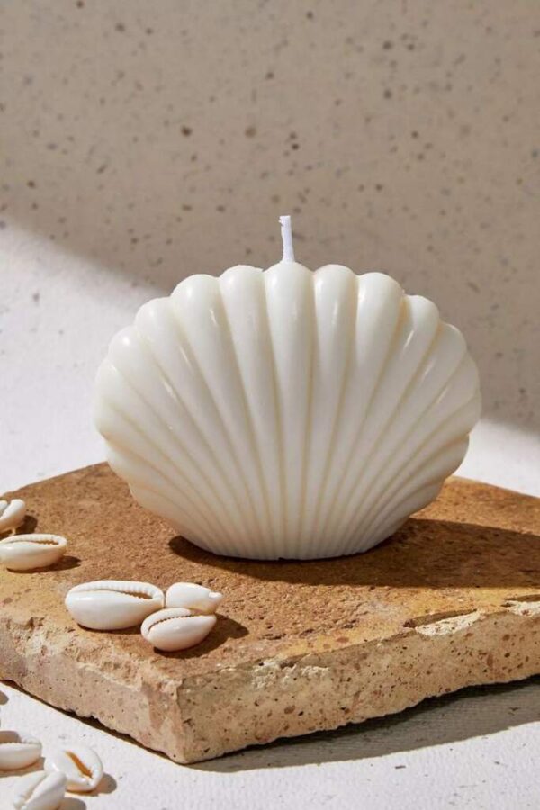 Seashells candle